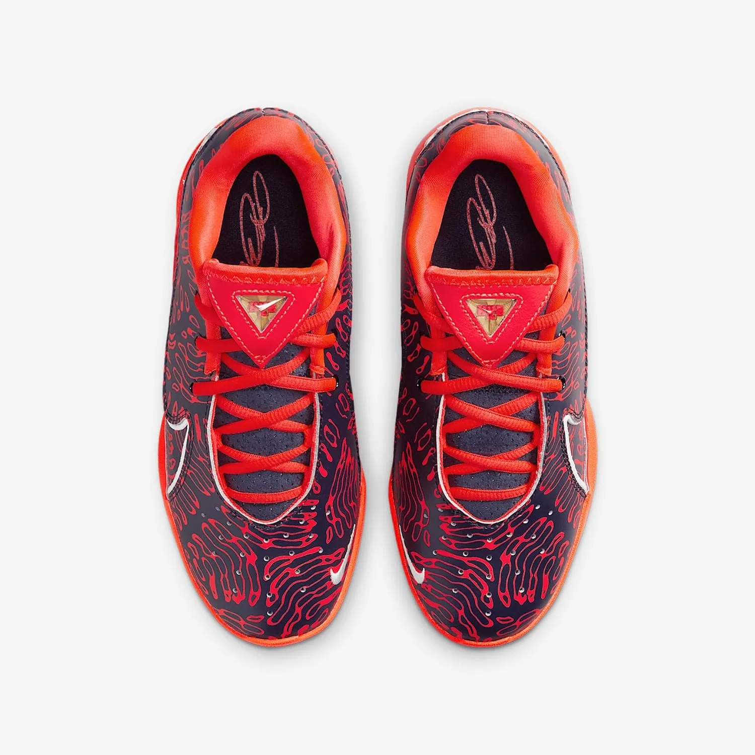Lebron XXII SE Big Kids' Basketball Shoes (HQ3673-400, Obsidian/Bright Crimson/Black/Metallic Gold)